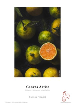 Hahnemuhle Canvas Artist 340gsm