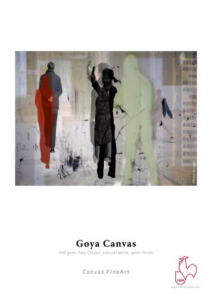 Hahnemuhle Goya Canvas 340gsm