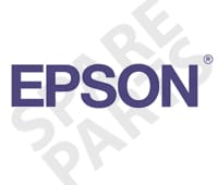 Epson Roll Paper Belt (x2)
